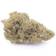 Lemon Haze – THC: 19 %